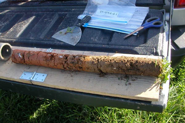 Soil core sample for pasture